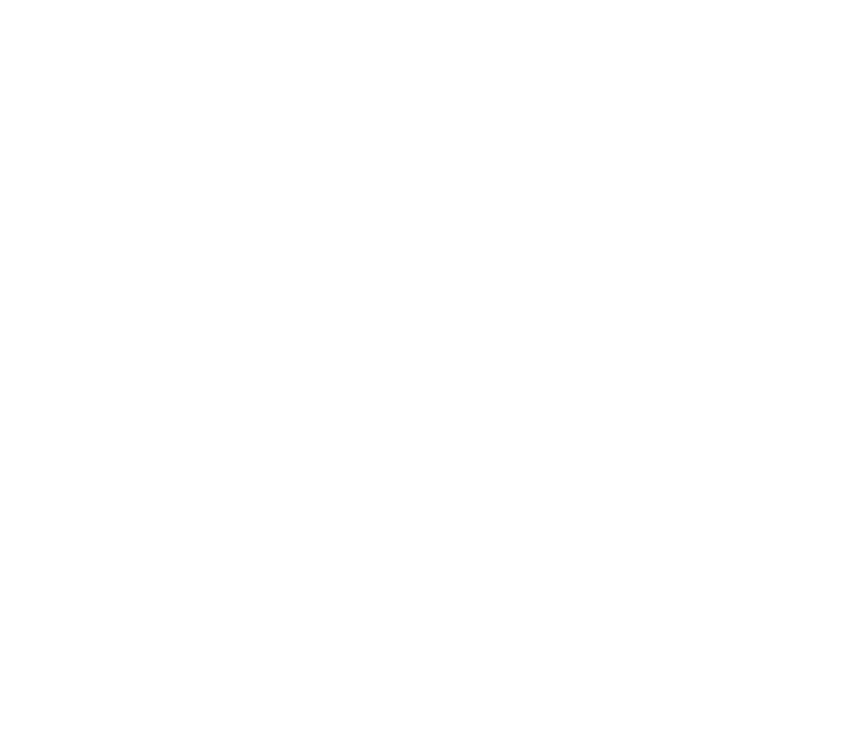Dinaric Rally logo